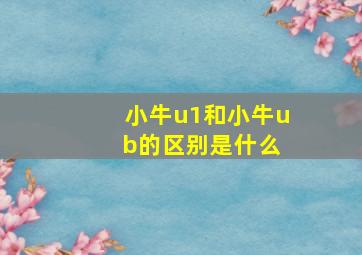 小牛u1和小牛u b的区别是什么